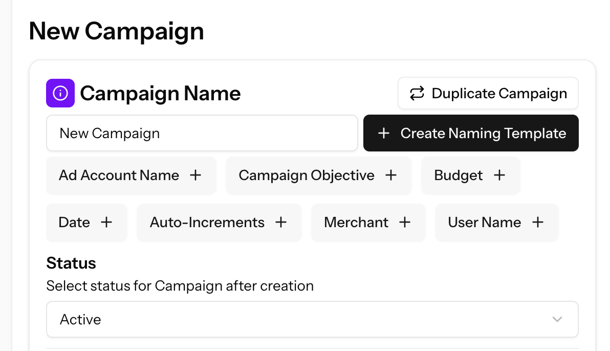 Campaign Setup